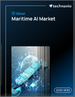 2025-2029年全球海事人工智慧市场