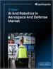2025-2029年全球航太和国防领域的人工智慧（AI）和机器人技术