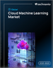 2025-2029年全球云端机器学习市场