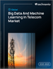 全球电信市场巨量资料与机器学习趋势（2025-2029）