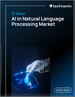2025-2029年全球自然语言处理人工智慧市场