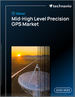 全球中高精度GPS市场，2025-2029年