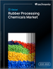 2025-2029年全球橡胶加工化学品市场