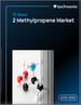 2025-2029年全球2-丙烯市场