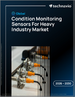 2026-2030年全球重工业状态监测感测器发展趋势