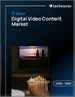2026-2030年全球数位影片内容市场