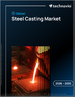 2026-2030年全球钢铁铸造市场