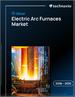 2026-2030年全球电弧炉市场