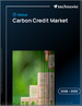 2026-2030年全球排碳权市场