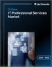 2026-2030年全球IT专业服务市场