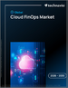 2026-2030年全球云端FinOps市场