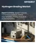 氢焊硬焊市场规模、份额和成长分析：按类型、製程类型、材料、应用、终端用户产业和地区划分－2026-2033年产业预测
