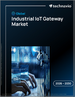 2026-2030年全球工业IoT闸道市场