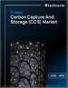 2026-2030年全球碳捕获与储存（CCS）市场
