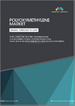 全球聚甲醛市场：按类型、等级、加工技术、终端应用产业及地区划分－预测至2030年