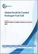 全球小型空冷式氢燃料电池市场展望、详细分析及至2032年预测