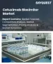 Cetuximab单抗生物相似药市场规模、份额和增长分析：按适应症/治疗应用、剂型、治疗策略、最终用户和地区划分 - 行业预测，2026-2033年
