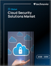 2026-2030年全球云端安全解决方案市场