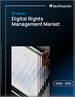 2026-2030年全球数位版权管理市场