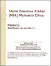 中国的丁腈橡胶(NBR)市场
