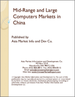 中国的中型·大型电脑市场