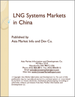 中国的LNG系统市场