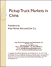 中国的轻型皮卡载货车市场