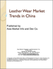 皮革服装市场趋势:中国